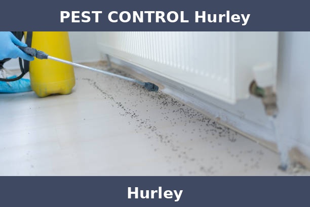 PEST CONTROL Hurley